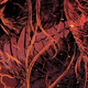 Image for article titled Image Comics’ Beowulf delivers a brutal, enchanting take on the mythical hero